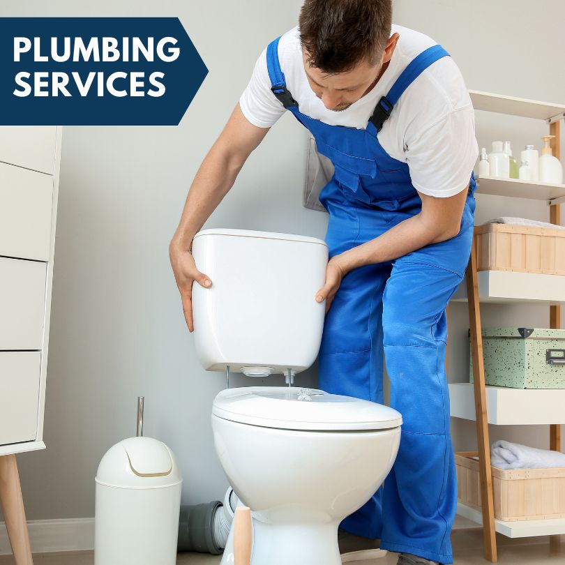 Plumbing Company in Cobb Island, MD